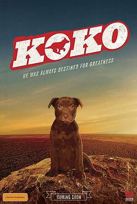 Koko:红犬历险记